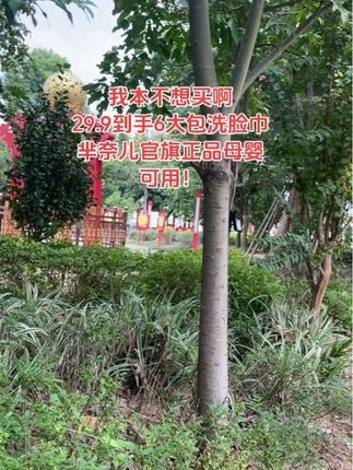 姐妹们!芈奈儿洗脸巾必须薅呀,这个价到手加厚款6大包,每包足足50抽好划算!国潮风摆放哪里都好看,柔软亲肤吸水性嘎嘎好,无荧光剂母婴可用,湿水像块小毛巾!买一次够用一整年快薅!#一次性洗脸巾#芈奈儿 #安全好用的洗脸巾 #柔软亲肤#洗脸巾推荐