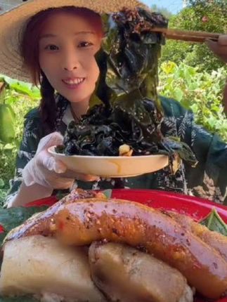 #裙带菜