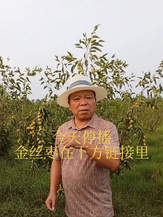 今天停播,喜欢吃金丝枣下面链接里有哈。#我的乡村生活 #优质农产品 #抖音新农人 #农村生活 #农村美食