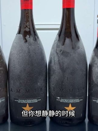 艾迪达姆大星啤酒!独特星标瓶身自带辨识度,麦芽醇香交织清爽气泡,入口顺滑不苦涩,不管是聚餐畅饮还是独酌微醺都超适配,一口解锁惬意时刻~#艾迪达姆大星啤酒 #大星啤酒#微醺时刻 #干杯 #好酒推荐