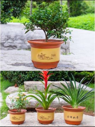 粗砂陶瓷花盆古法黄简约家用粗陶种花种树绿植姜黄色花盆批发#陶瓷花盆 #花盆 #陶瓷盆 #粗砂花盆 #粗陶花盆