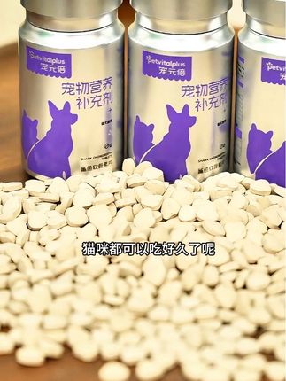 家里爱养猫猫咪的赶紧入手,#宠物出道计划