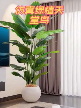 旅人蕉仿真绿植物室内盆栽大型仿生花假树轻奢客厅天堂鸟落地摆件 #花卉绿植 #绿植花卉 #绿植 #室内绿植 #绿植盆栽