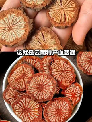 #血塞通 #好物推荐🔥 #上热门 #内容启发搜索 正宗老滕新货深山血塞通无添加可搭配枸杞无硫500g煲汤泡水#好东西一起分享