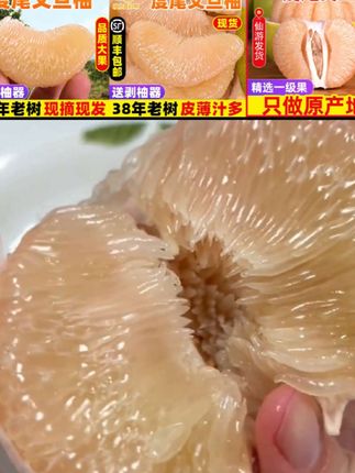 正宗福建莆田度尾文旦柚红心小柚子新鲜当季现摘孕妇应季时令水果