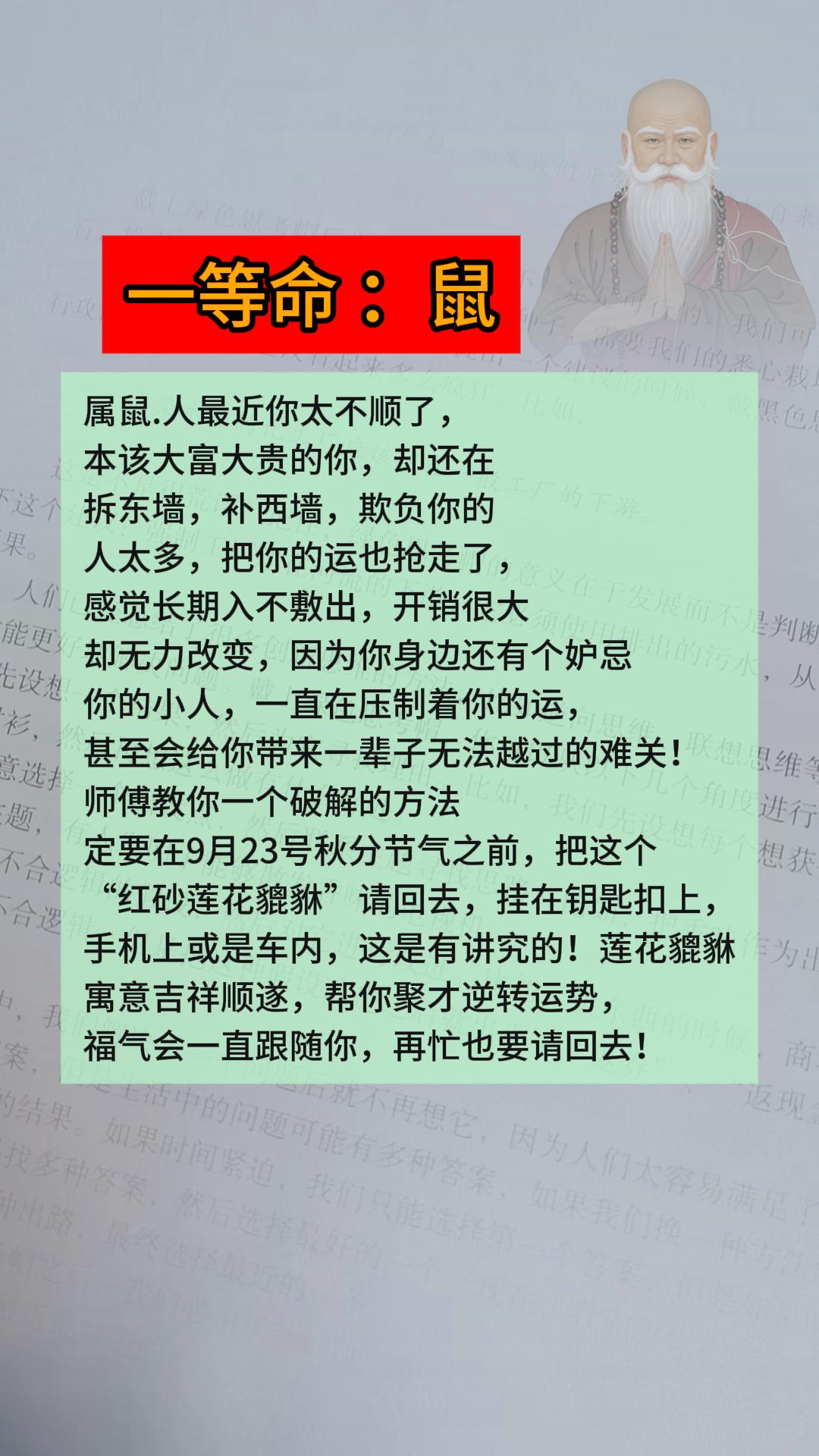 #鼠 #属鼠 #生肖鼠
