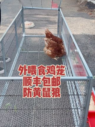 可养15-20只鸡,白天喂食晚上防护,加厚加大底盖漏粪效果好#三农养殖 #鸡笼#鸡笼子厂家 #户外养殖笼