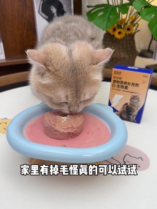 只要坚持吃这个D-维生素,我们在家也能养出赛级猫的毛发啦#萌宠好物 #新手养猫 #猫咪掉毛