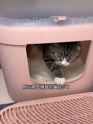 因为很好用,所以反复推荐,多买更划算#萌宠好物 #养猫新手 #lucky实测推荐