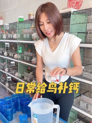 给鸟补钙 养鸟一定要经常给鸟补钙,换羽期可以增强鸟体质,促进骨骼发育和羽毛生长,繁殖期可以避免鸟下软皮刀蛋吃蛋等情况 #鸟用液体钙 #鸟补钙