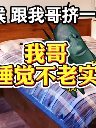 小时候 跟我哥挤一张床睡#猫meme故事#搞笑#生活记录 #meme #猫meme
