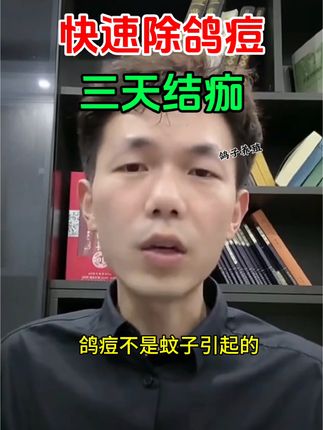 #肉鸽养殖#种鸽整理#养鸽人#元宝鸽#信鸽赛鸽