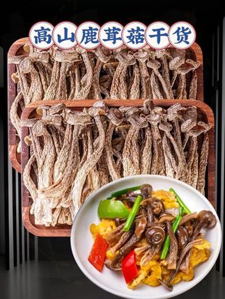 #干货分享 大山里的宝贝鹿茸菇,不管是炒辣椒,还是炒肉,吃起来都是又脆又嫩,煲汤也非常鲜嫩好喝!大人小孩都爱吃 #鹿茸菇炒五花肉 #鹿茸菇煲汤 #鹿茸菇的营养价值 #鹿茸菇干货