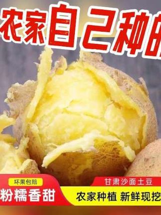 有没有吃过西北特色美食洋芋搅团啊?据说这个东西在西北那边呢,属于是家家户户儿时童年的美食。这个是甘肃定西的沙面黄心土豆,全部是今年的新土豆,今天一收到就迫不及待的烤了几个。甘肃定西的土豆本身个头就挺大的,我从去年到今年一直买的他们家的中号,他这个土豆不管是烤还是蒸或者炖着吃、炒着吃都好吃,他和一般的土豆相比都会肥一些。看一下,他就是像这样黄心沙面的,吃起来就特别香@抖音小助手