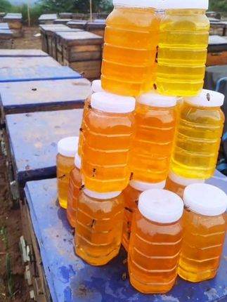 500g土蜂蜜东北蜂蜜黑蜂蜜枸杞蜜槐花蜜黄芪蜜枣花蜜蜂巢蜜 #农家土蜂蜜 #土蜂蜜 #纯天然绿色食品 #天然蜂蜜 #纯天然无添加