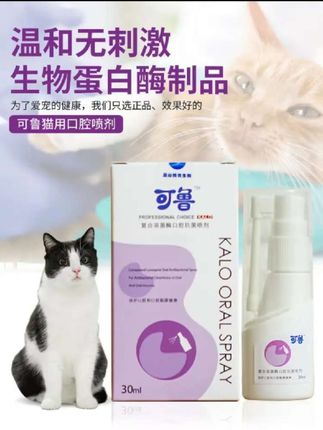 宠物口腔喷雾 咦!爱宠有口腔问题,口臭异味怎么办?#萌宠好物 #宠物口腔喷雾#宠物口腔护理 #口臭异味