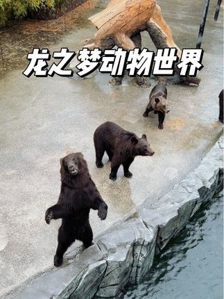 把别人开的动物世界变成自家“后花园”是种什么体验? 我也是出息了,终于实现把逛动物园当吃家常便饭一样简单了!#野生动物零距离 #周末去哪儿 #周末去哪玩