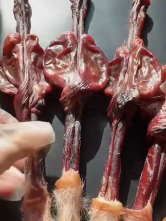 鹿鞭干整根整枝新鲜男性泡酒料鹿茸片丸膏吉林长白山梅花鹿#干鹿鞭#泡酒