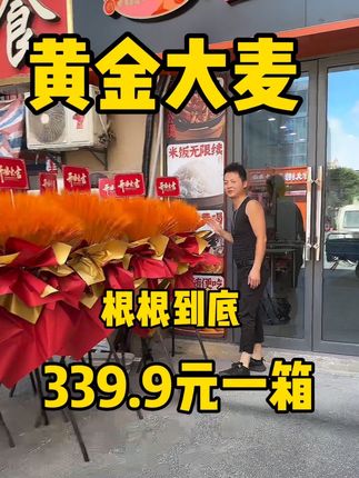 花店必备 黄金大麦,又粗又硬。 做大麦花篮太方便了#花店必备 #花艺培训