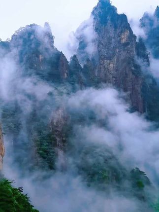 登黄山,方知何为‘黄山归来不看岳’。 云海翻涌似仙境,犹如水墨画般。#黄山 #黄山归来不看岳 #黄山西海大峡谷