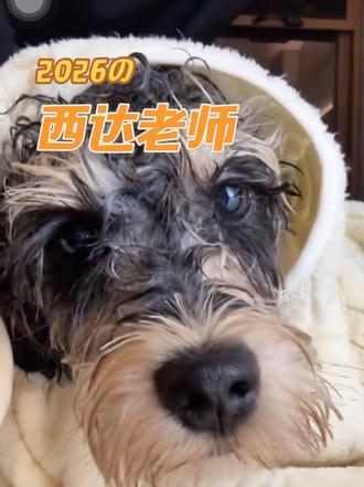 star洗完了该洗云旗了,普普老师!#云旗 #郝熠然#云熠 #云熠直播