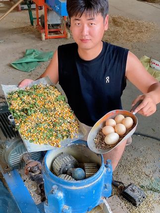 #牛羊养殖 #养殖 #三农养殖 #饲料颗粒机 #饲料颗粒机一体机