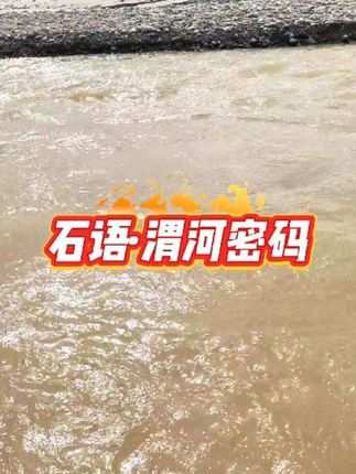 石语·渭河密码|#纪录美好生活 #抖音热搜 #助手抖音 #原创视频 #拾石人