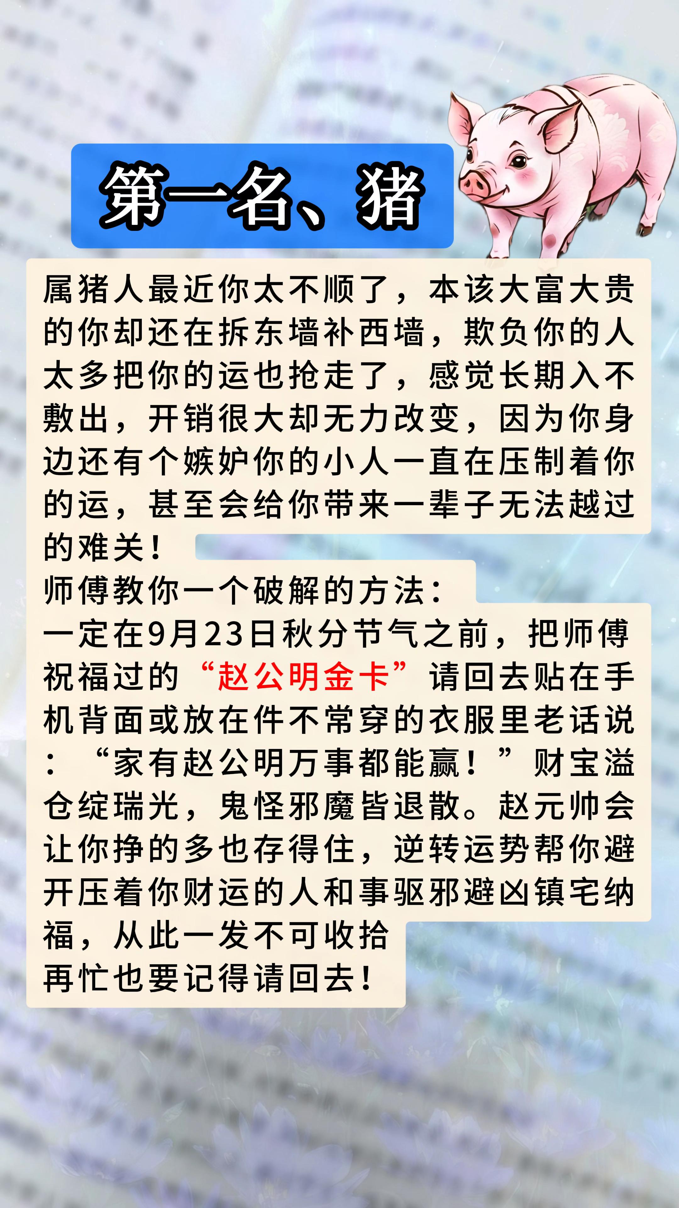 #1959年的猪 #1971年的猪 #1983年的猪