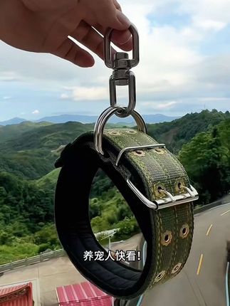 这是一款专门为大型猛犬设计的双排加厚颈圈,结实耐用,美观大气。#宠物项圈 #大型犬项圈防缠绕脖圈#大型犬项圈 #养大型犬