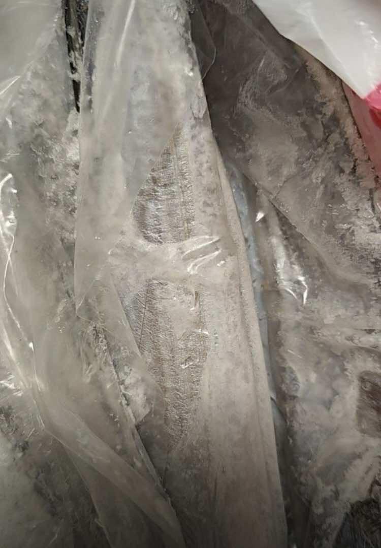 不是养生带鱼,是养殖的带鱼,上当,上当