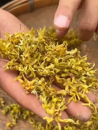 石斛花茶,铁皮石斛新花干花泡水泡茶,霍山铁皮养生茶正品官方旗舰店#铁皮石斛 #石斛