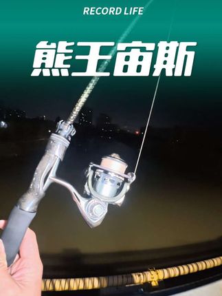 现在有活动,价格很香#熊王宙斯纺车轮 #熊王宙斯二代纺车轮