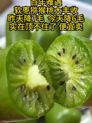 #优质农产品#软枣猕猴桃#软糯多汁#太好吃了 #谁懂这一口的好吃程度