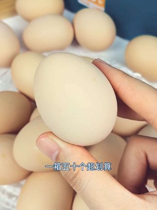 好念头始祖可生食黑鸡蛋:无菌无沙,生食也能超安心!#每日不定时分享好物 点击头像关注哟@抖音小助手