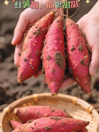 粉糯的粗粮#小香薯 皮薄如纸,无筋无丝,还有浓浓的板栗味,吃起来相#软糯香甜 #美食 #蜜薯 #红薯