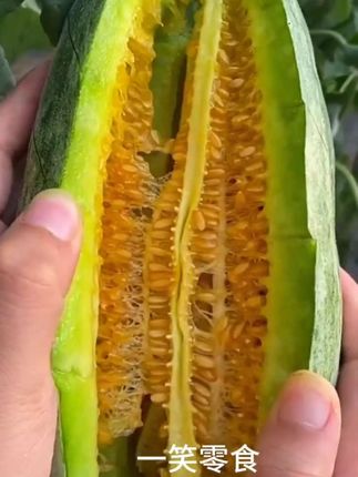 山东羊角蜜甜瓜当季新鲜头茬孕妇水果香甜瓜博洋蜜瓜
