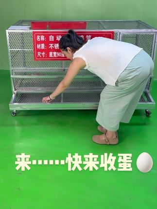 #养鸡 #结实耐用 #蛋鸡 #户外养殖笼