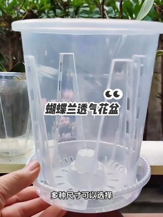 透明控根盆蝴蝶兰专用透气镂空塑料花盆青山兰花水苔花盆 #花盆 #透明花盆 #控根花盆 #塑料花盆 #青山盆