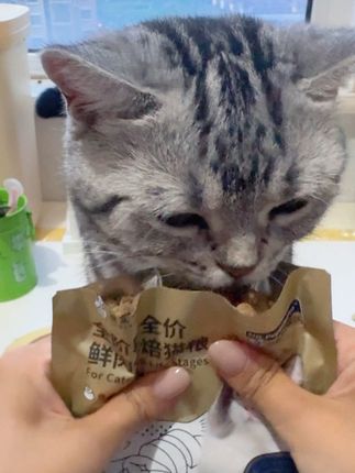 太美味了,6.9的诚实一口小金袋,谁还没刷到#养猫新手 #猫粮 #诚实一口