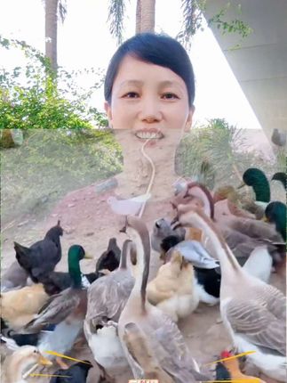 鸡鸭鹅养殖常备#丽霜商品橱窗#丽霜在泉州#云彩