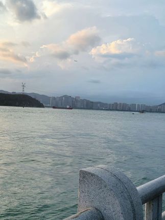 2025春季新款半高领长袖女修身上衣+新款高腰百搭拖地裤女BB50348##@DOU+小助手
