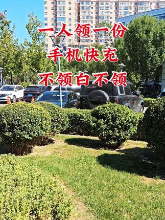 【新人福利】适用苹果ZJ-30W/20W快速充电器头PD数据线快充线不伤机#苹果快充 #快充 #数据线 #充电线 #充电器