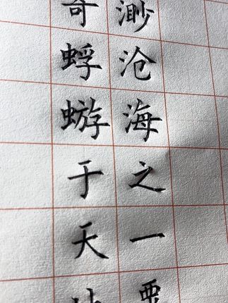 寄蜉蝣于天地 渺沧海之一粟 #书法学习 #书法文化 #写字✍️ #书法传统文化 #原创视频