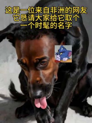 这家伙也想进女生宿舍。#࿆我࿆就࿆皮࿆一࿆下࿆而࿆已࿆҉࿆҉࿆ #我就皮一下而已 #我就皮一下