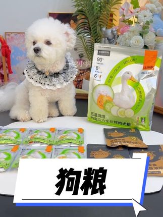 养出没有泪痕的小狗真的不难,只要选对狗粮就可以#比瑞吉#狗粮#无限回购的宝藏单品 #泪痕#狗粮推荐