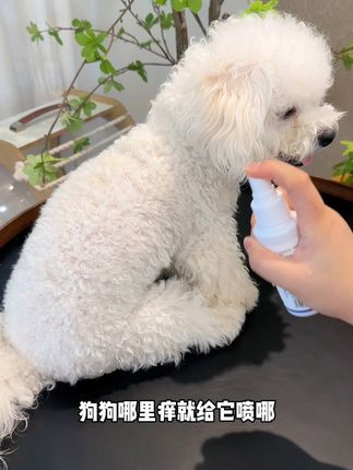 狗狗总是每天频繁的抓挠自己,赶紧它浑身都特别痒,家长一定要重视起来#养狗经验分享 #狗狗身上痒