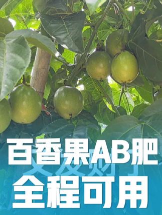 #无限回购的宝藏单品 #百香果#种植技术