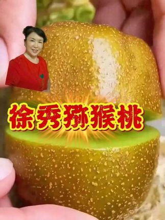 陕西徐香猕猴桃当季新鲜水果皮薄肉厚香甜多汁维C丰富#‘;喜欢吃猕猴桃的朋友到熊猫姐橱窗下单。