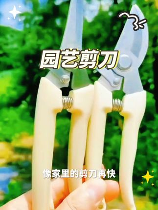剪刀奶白色不锈钢修枝园艺摘果剪花艺剪刀插花工具家用剪园林家用#园林工具 #强烈推荐 #好物推荐🔥 #园艺剪刀