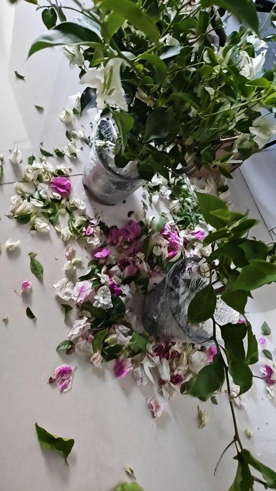 物流包装:一般 新鲜度:差 卖家服务:一般 整体评价:差#我在抖音买买买